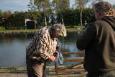 ForellenmiddagHSVBarneveld-31