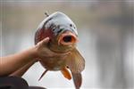 Eindstanden competities staan online!