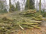 Vrijwilligers gezocht voor zaterdag 16 april 2016