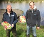 Veel vlees voor weinig vis