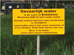 Dode eenden aangetroffen in water De Burgt