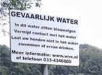 IN DE MEDIA: Blauwalg in gracht Koewei