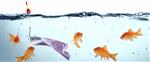 Super opbrengst Rabobank Clubkas Campagne!