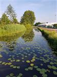 Kort bericht aangaande de Barneveldse Beek