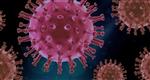 Maatregelen tegen het coronavirus
